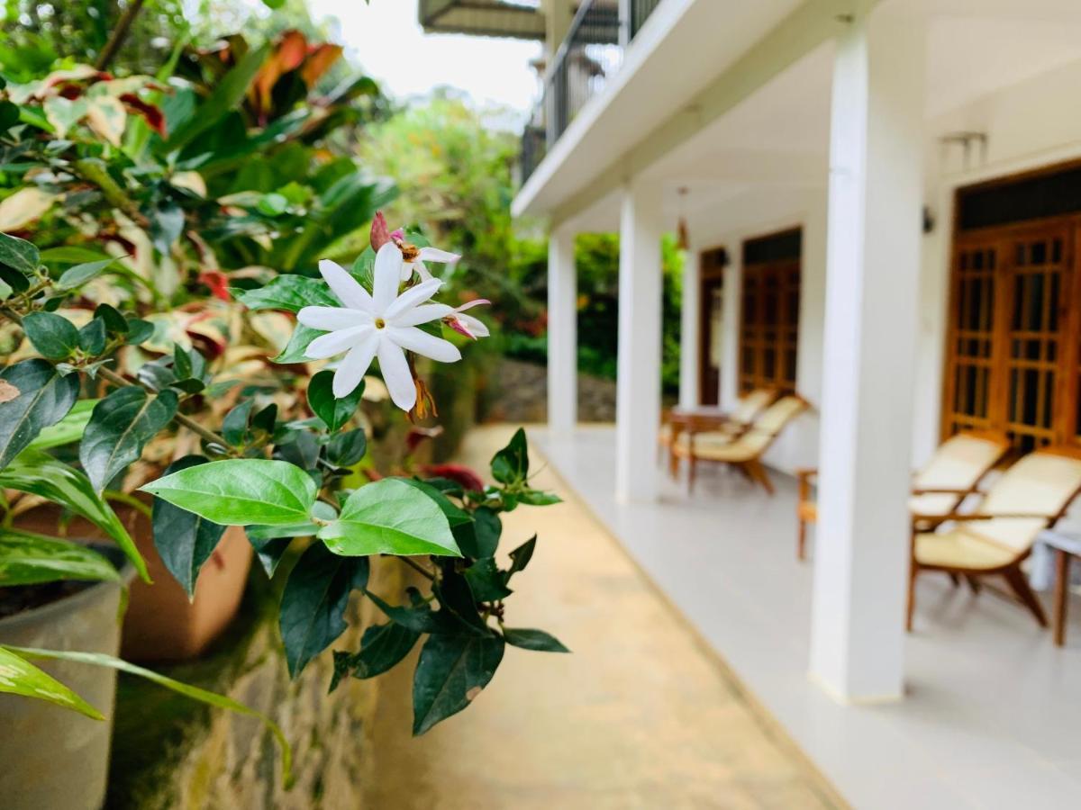 Mount Breeze Ella Otel Dış mekan fotoğraf